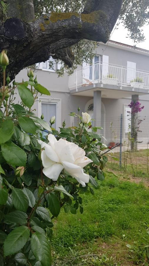 Ripari Di Giobbe Hotel Ortona Exterior photo